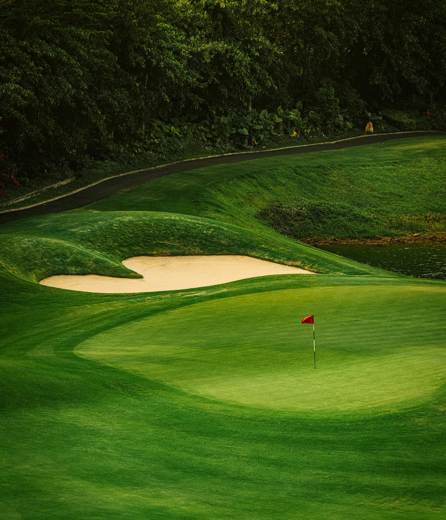 Fairway curving past a bunker below dense forest