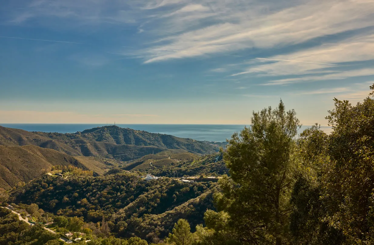 Forested hills rolling down to the sea at golden hour